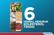 6 Herbal Penurun Kolesterol...