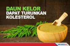 Daun Kelor Bisa Digunakan...
