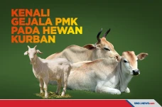 Kenali Dulu Gejala-gejala...