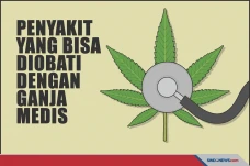 Penyakit-Penyakit yang...