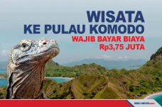 Pengunjung Pulau Komodo...