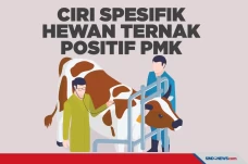 Berikut Ciri Spesifik...