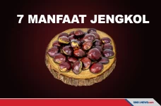 Bermacam Manfaat Jengkol,...