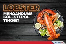 Perlu Disimak, Apakah...