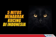 Yuk Simak! Ini 5 Mitos...