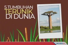 Tumbuhan yang Memiliki...