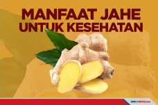 Terbukti Ampuh Lawan...