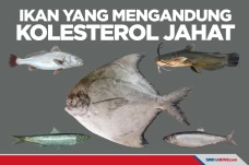 Jenis Ikan yang Tidak...