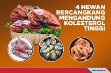 Empat Hewan Bercangkang...
