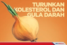 Bawang Bombay Terbukti...