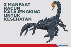 Simak 3 Manfaat Racun...