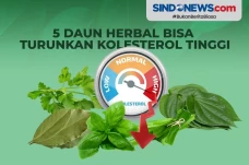 Berikut ini 5 Daun Herbal...