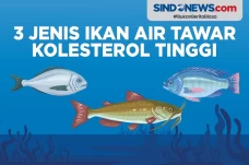 Waspadai! Ini 3 Ikan...