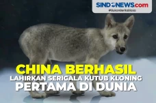China Berhasil Lahirkan...