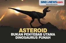 Ilmuwan Meyakini Asteroid...