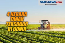 4 Daftar Negara dengan...