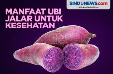 5 Manfaat Ubi Jalar,...