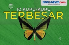 Banyak dari Indonesia,...
