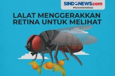 Bukan Matanya, untuk...