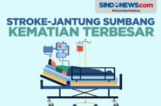 Penyakit Stroke-Jantung...