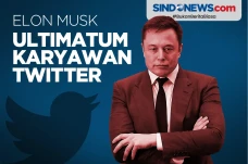 Elon Musk Ultimatum...