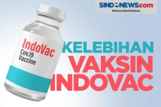 Dipakai Jokowi untuk...