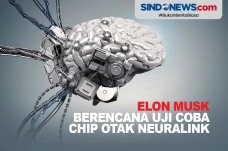 Chip Otak Nirkabel Neuralink...