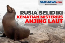 Rusia Selidiki Kematian...