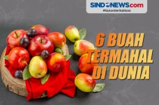 6 Buah Termahal di Dunia,...