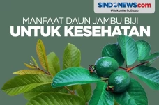 Jarang Diketahui, Ini...