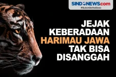 Ahli Tegaskan Jejak...