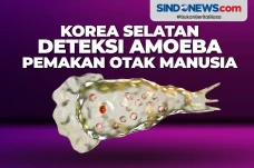 Korea Selatan Deteksi...