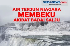 Air Terjun Niagara Membeku...