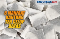 6 Manfaat Kantung Teh...
