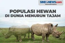 Populasi Hewan di Dunia...