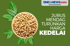 Jurus Mendag Menurunkan...
