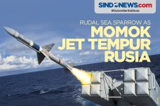 Spesifikasi Rudal Sea...