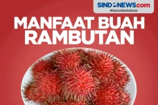 Bisa Memperkuat Imun,...