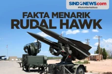 Rudal HAWK, Senjata...