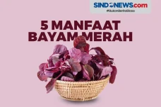 Yuk Simak! Berikut Ini...