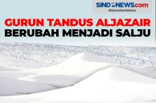 Gurun Tandus Aljazair...