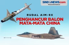 AIM-9X, Rudal yang Menghancurkan...