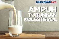 Wajib Dicoba! 4 Susu...