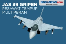 JAS 39 Gripen, Pesawat...