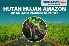 Jaguar Bakal Jadi Korban...