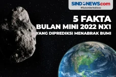5 Fakta Bulan Mini 2022...