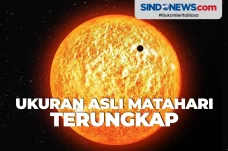 Ilmuwan Berhasil Ungkap...