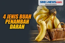 4 Jenis Buah Penambah...