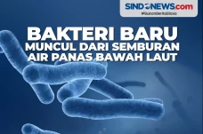 Bakteri Baru Muncul...
