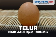 Permintaan Masih Stabil,...